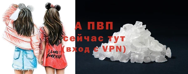 прущие грибы Белоозёрский