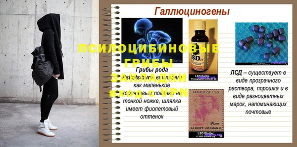 прущие грибы Белоозёрский