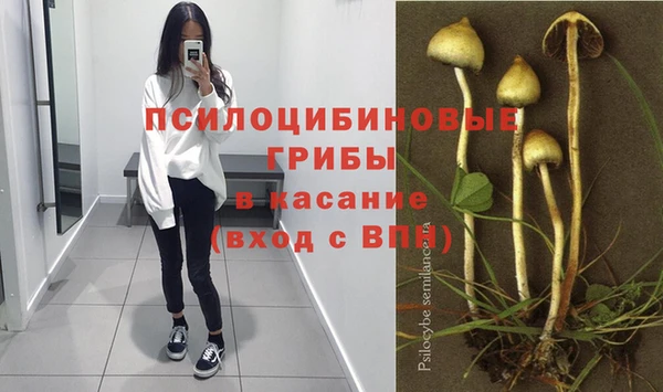 кристаллы Белокуриха