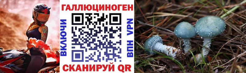 ОМГ ОМГ ТОР  Горняк  Галлюциногенные грибы Magic Shrooms 